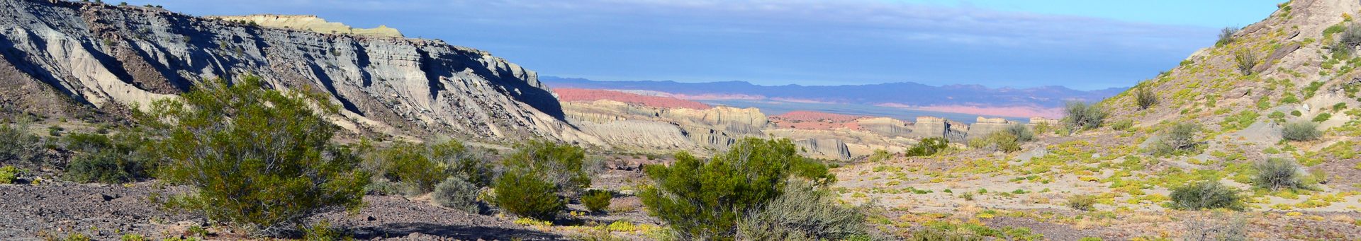 Formação Ischigualasto