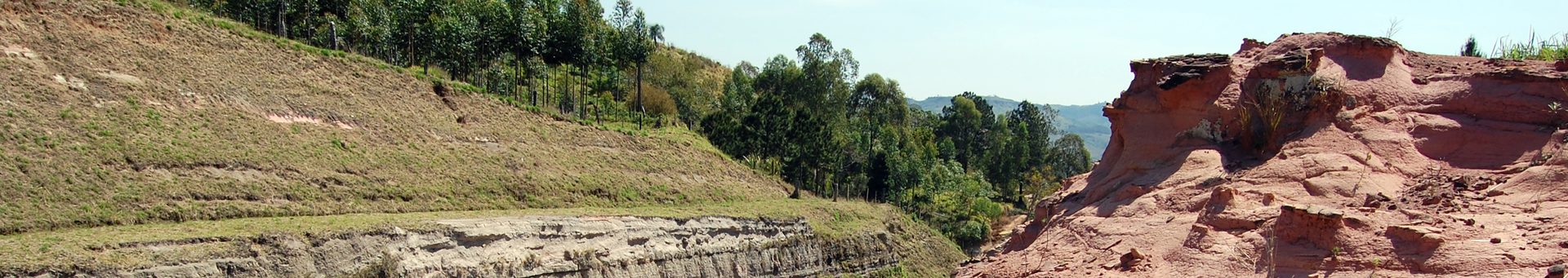 Formação Rio do Rasto