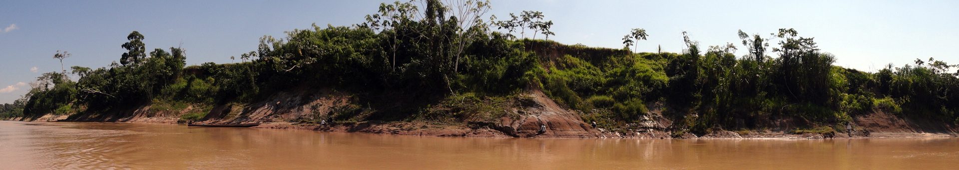 Formação Solimões