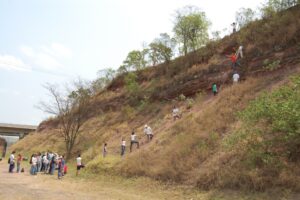 Coletando fósseis na Formação Corumbataí (Permiano), Rio Claro-SP. Excursão de ‘Geologia’ (2007).